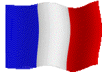 The French Flag