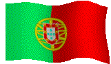 The Portuguese Flag